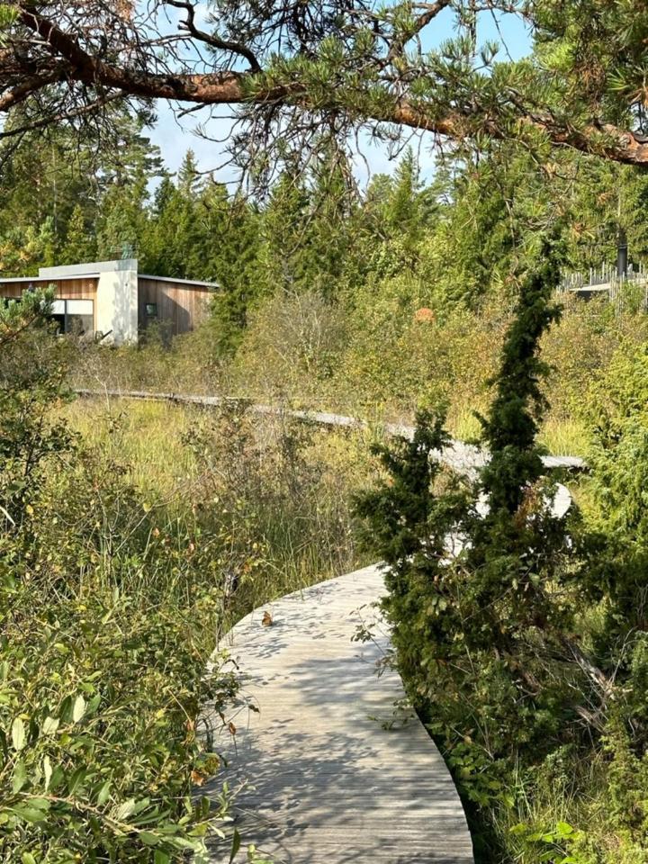 Maven Kustnaera Stugor Kappelshamn Buitenkant foto