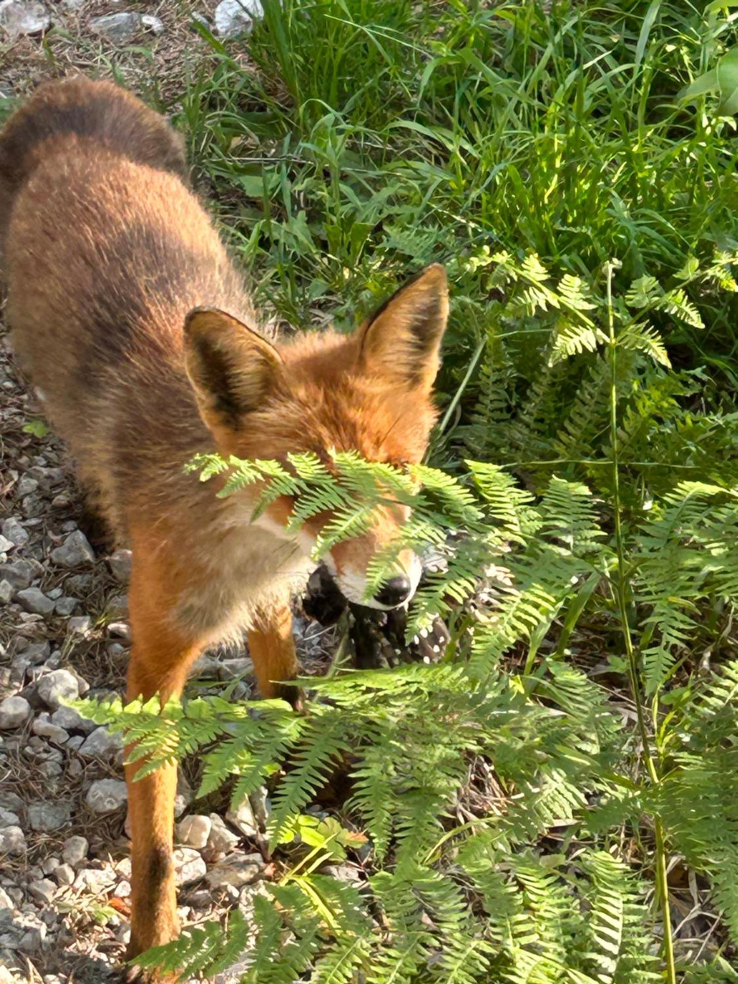 Maven Kustnaera Stugor Kappelshamn Buitenkant foto